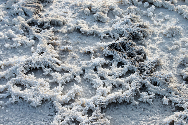 �κ����� (2).JPG