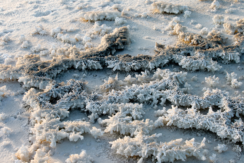 �κ����� (3).JPG