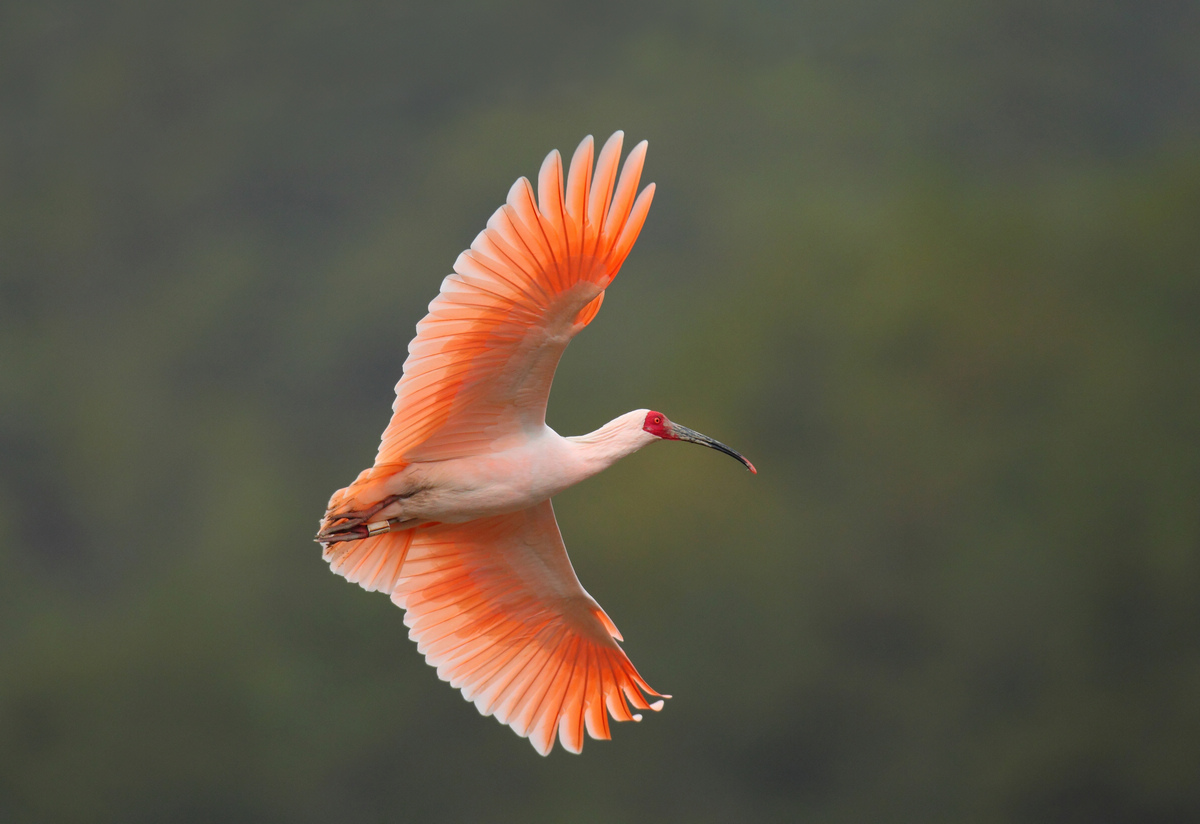 ��15 ��ˮ��ɽ---���q.jpg