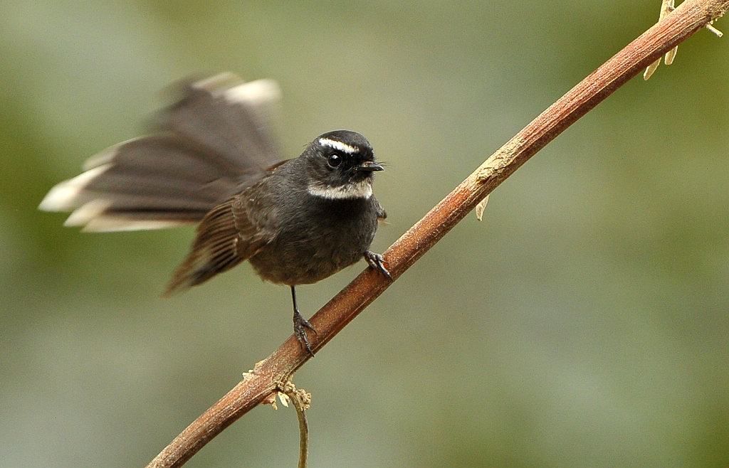 DSC_8938  3.jpg
