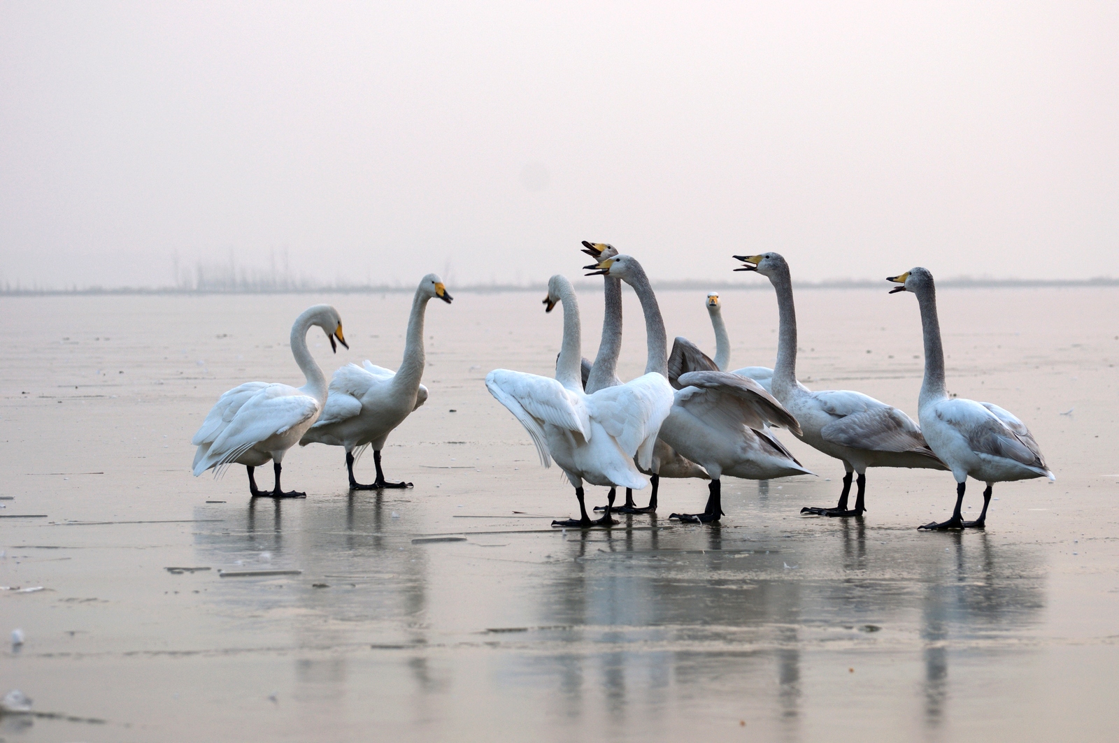 3P.1������