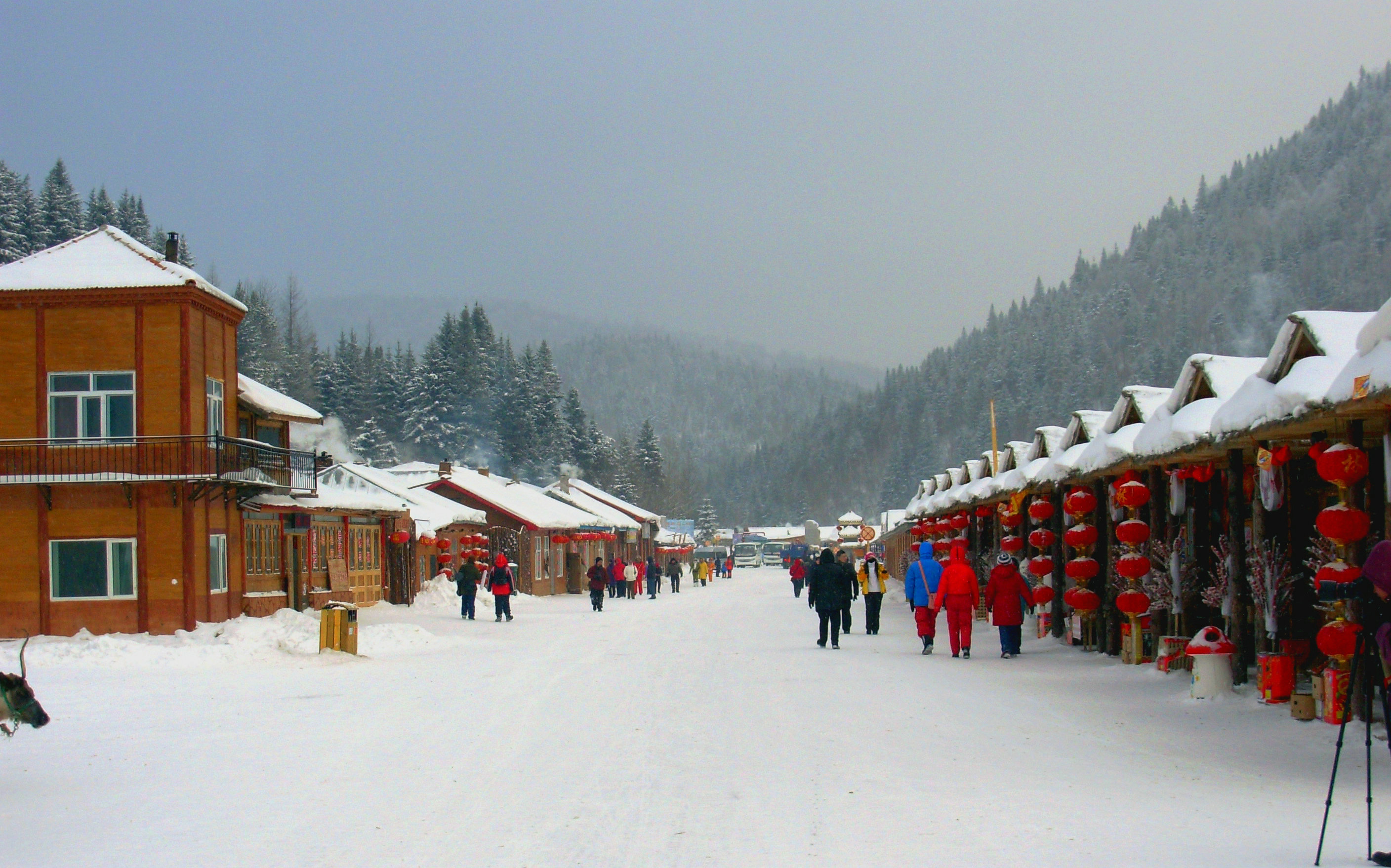 ѩ��֮�������