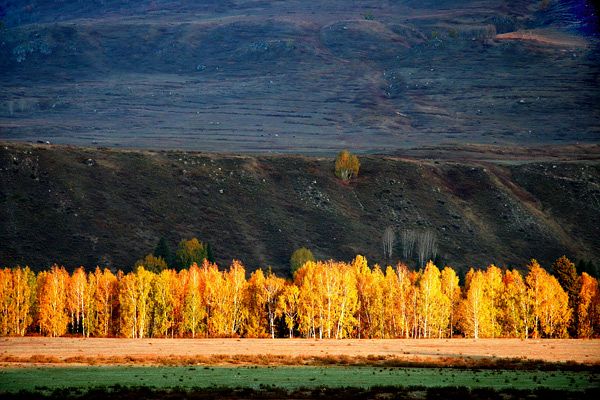 ���� ��ɫ.jpg