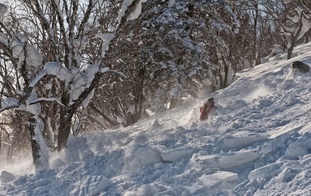 6  ���ڷ���