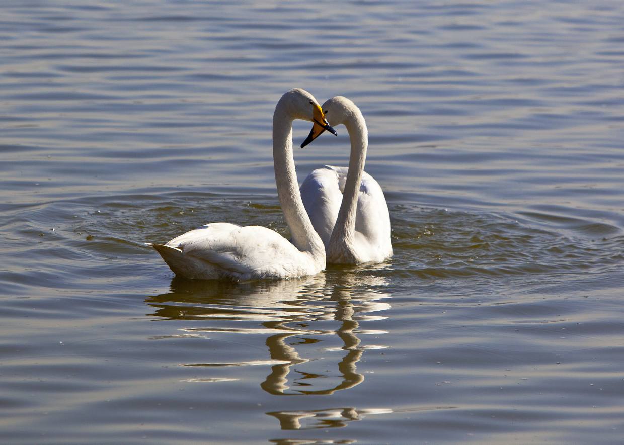 ����˽�����మ