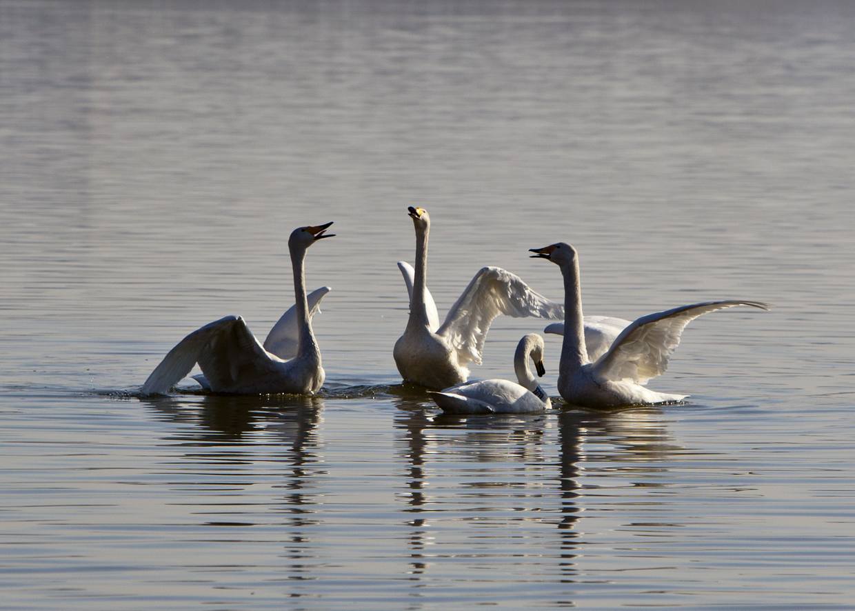 �߸�һ�������