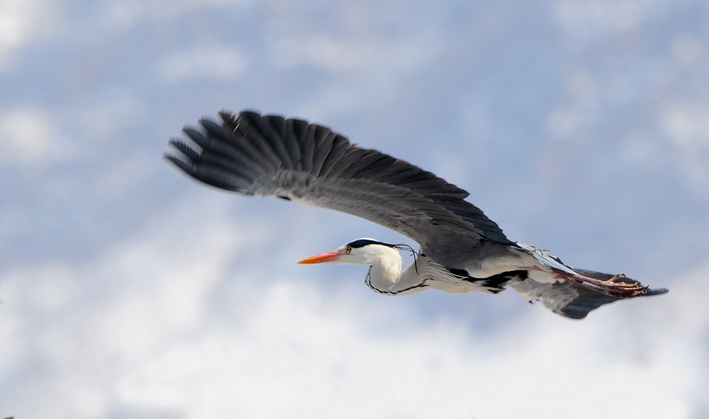 DSC_0164  5.jpg