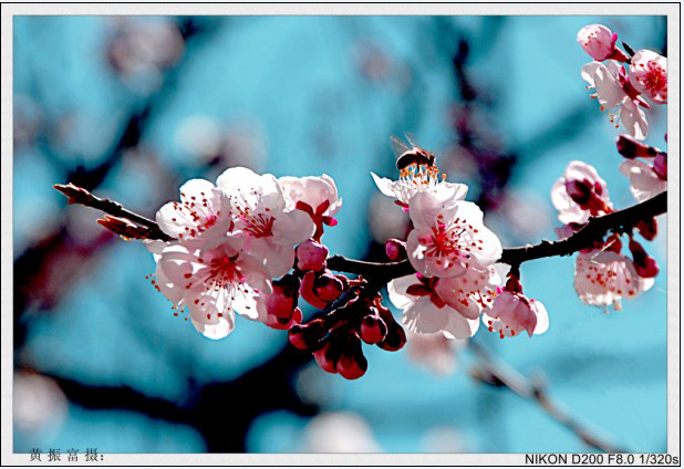 ��׷����