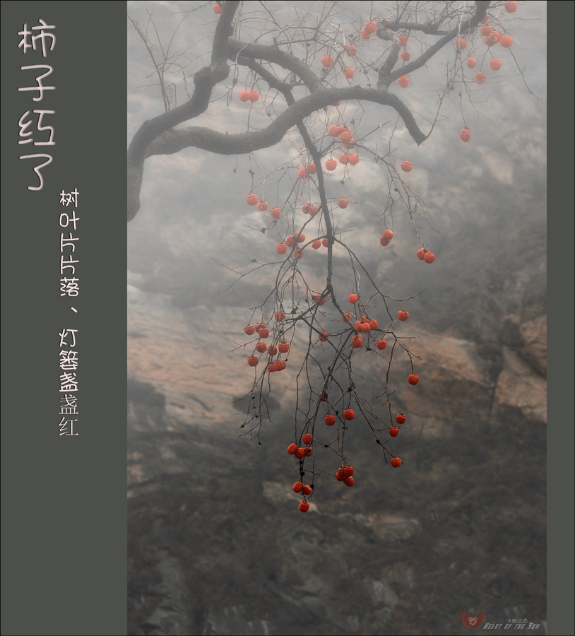 ����¨�߸߹ҡ�