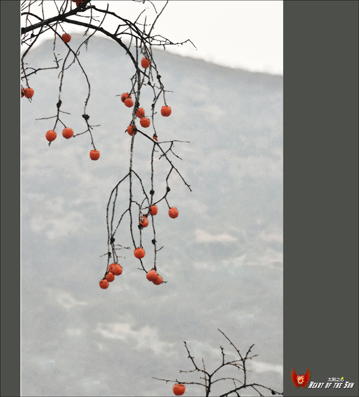 ����¨�߸߹ҡ�