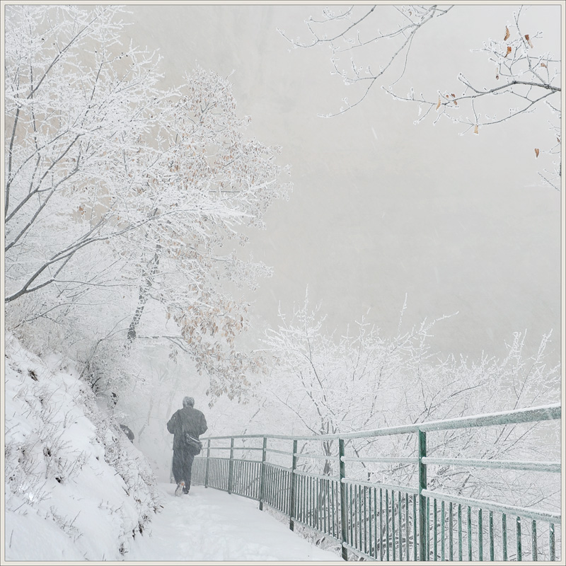 ��Ӱ����