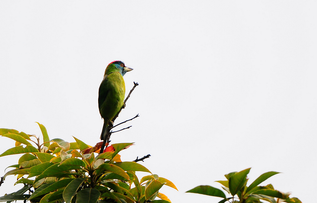 DSC_0401   2.jpg