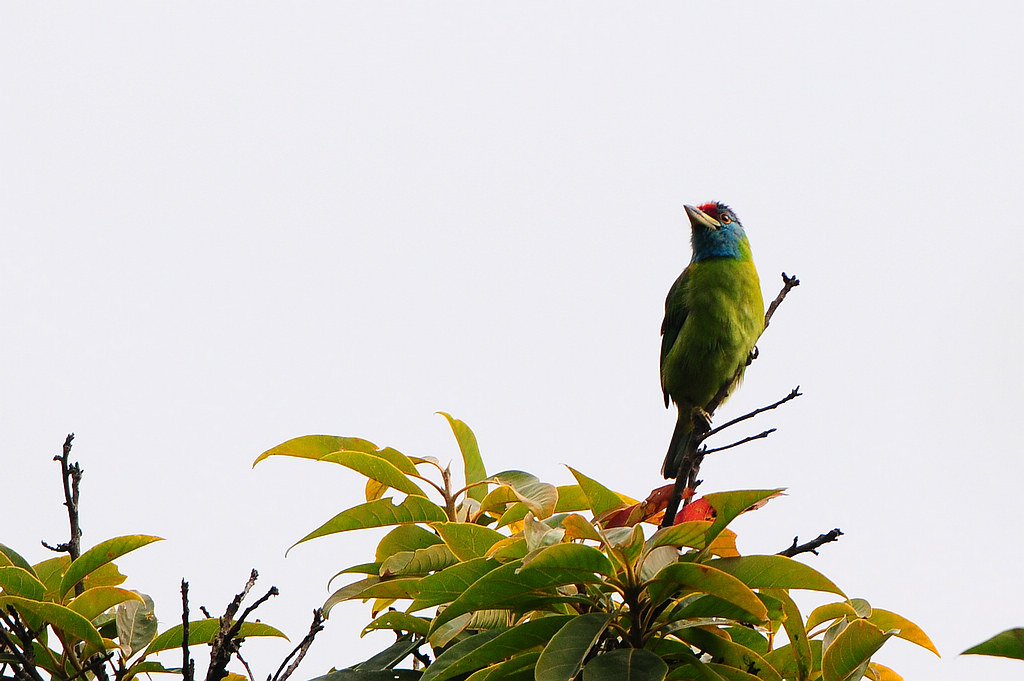 DSC_0312  1.jpg