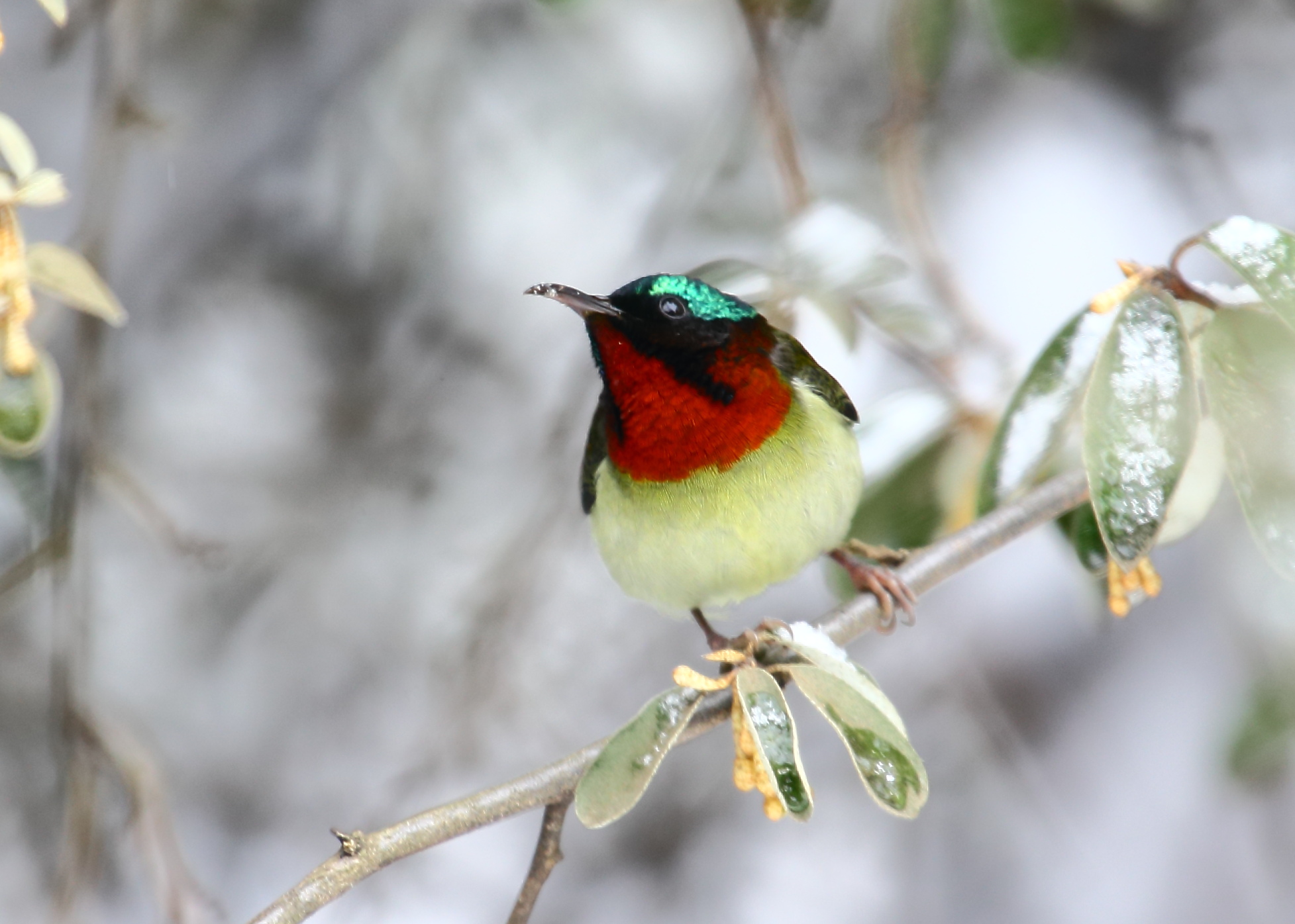 AM1Q0175 ��̫����3.JPG