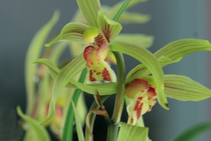 01 �������� IMG_7209����.jpg