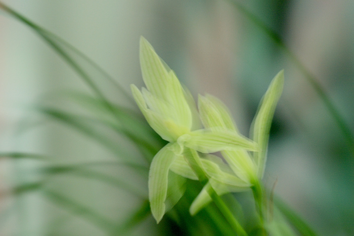 03 �������� IMG_7203����.jpg