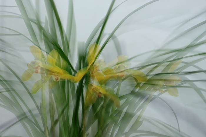 05 �������� IMG_7176����.jpg