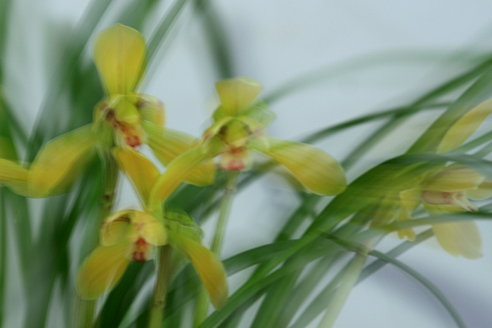 06 �������� IMG_7175����.jpg