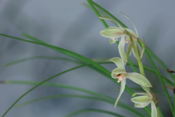 07 �������� IMG_7170����.jpg