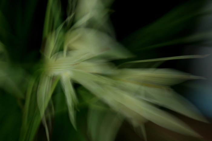 08 �������� IMG_7163����.jpg