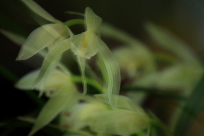 09 �������� IMG_7158����.jpg