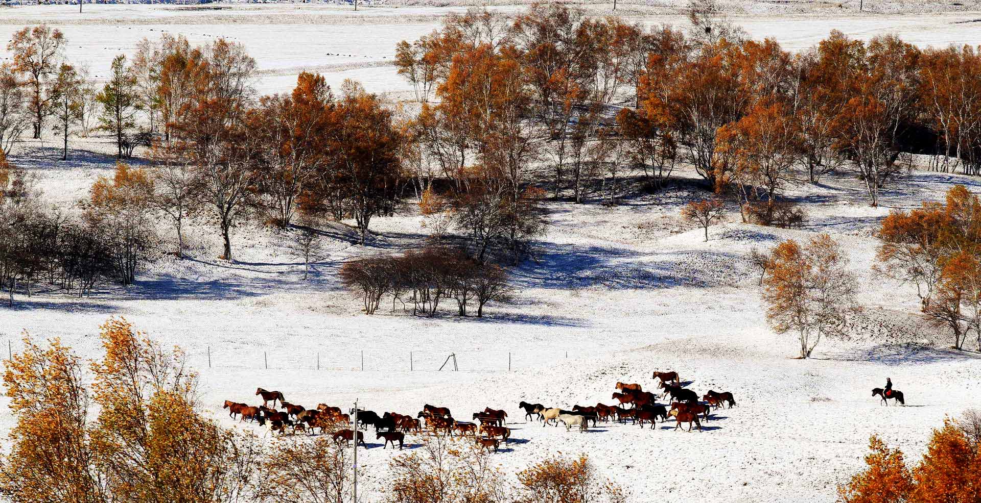 IMG_2107 (2) (3).jpg