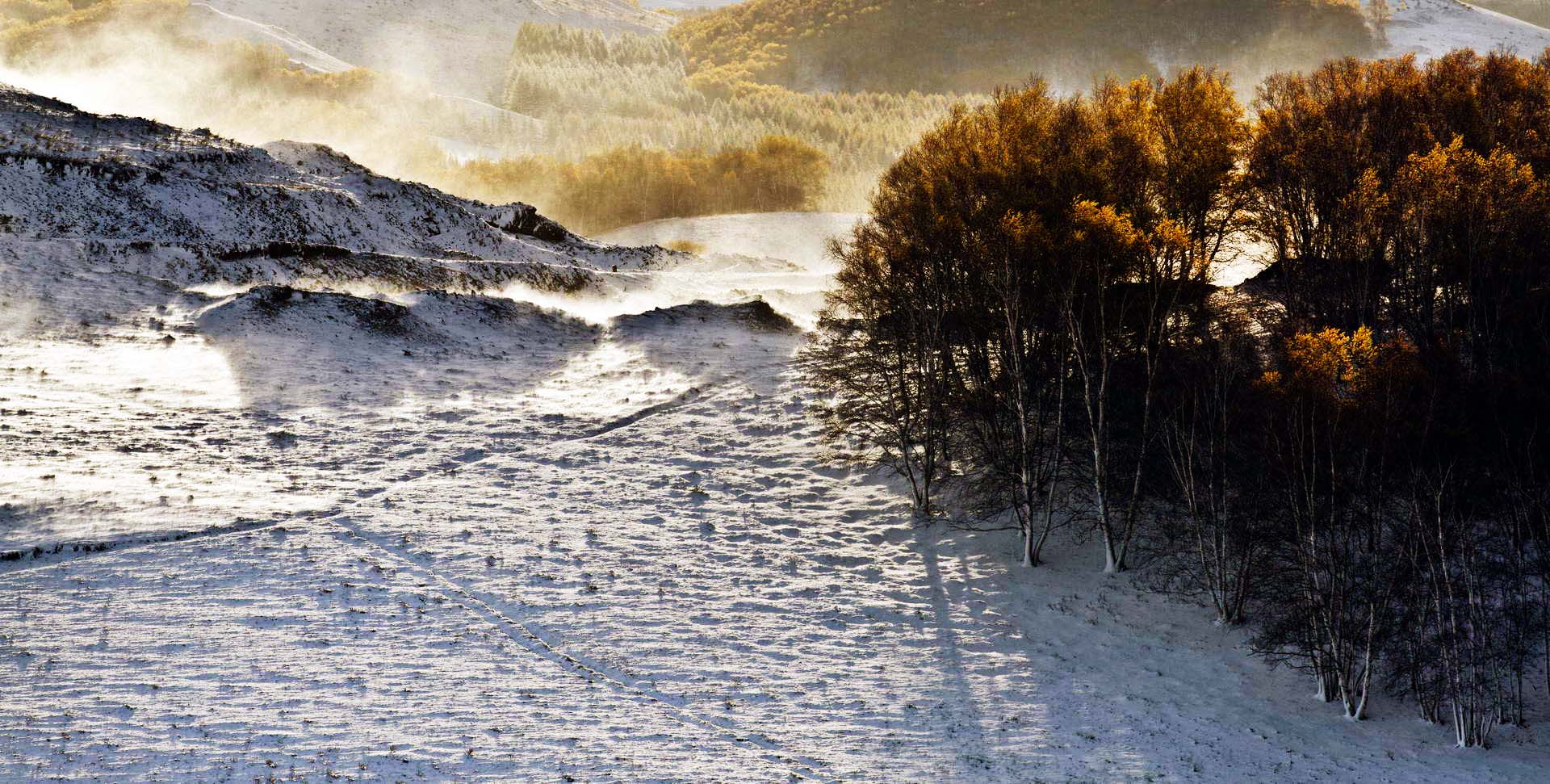 IMG_2029 (2) (3).jpg