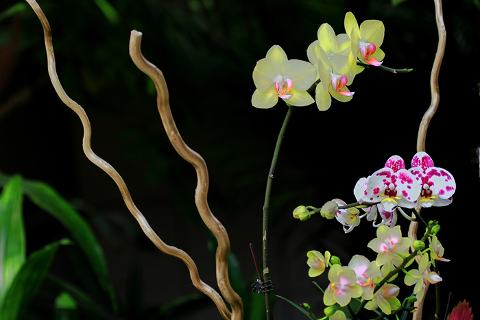 7  ���� 05 IMG_7406����1.jpg