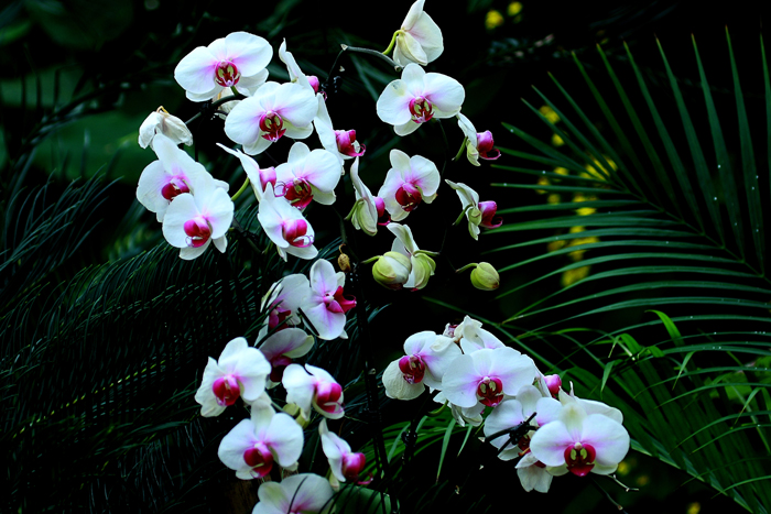 7  ���� 06 IMG_7450����.jpg