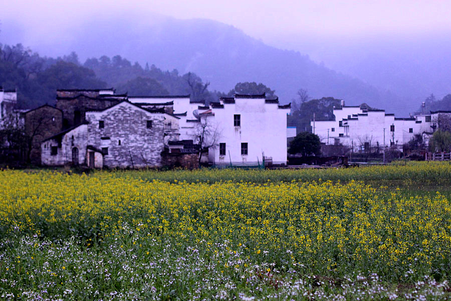 ���½�����Ƭ 006_����.jpg