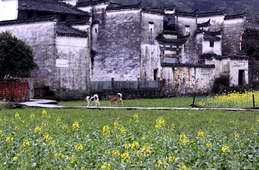 ���½�����Ƭ 011_����.jpg