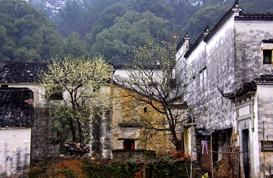 ���½�����Ƭ 021_����.jpg