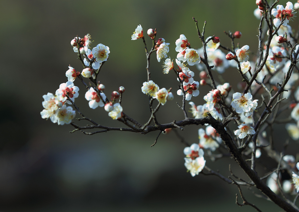 δ���� (1 - 1)_����.jpg