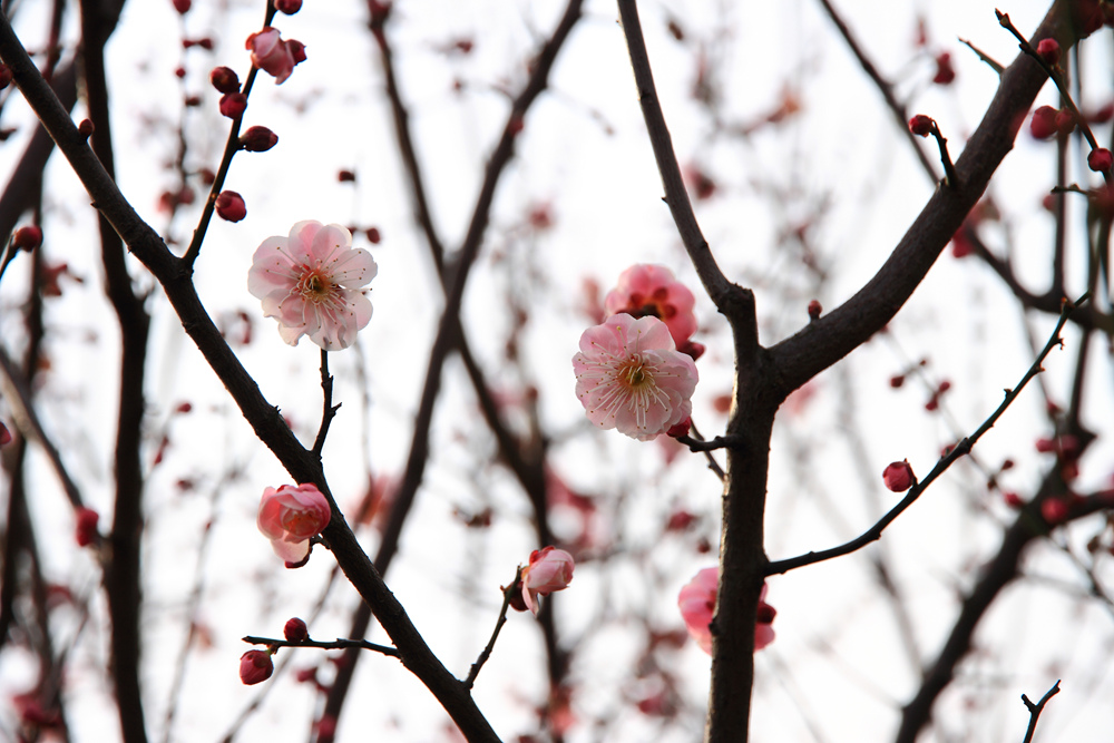 δ���� (7 - 80)_����.jpg