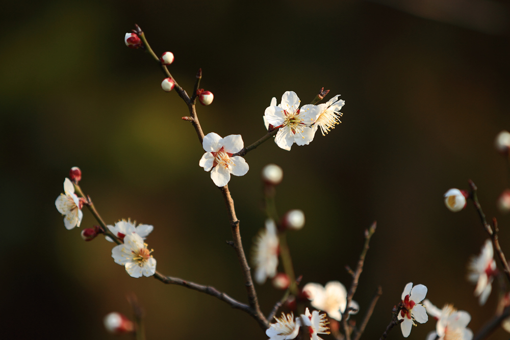 δ���� (17 - 80)_����.jpg