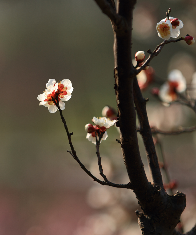 δ���� (21 - 80)_����.jpg