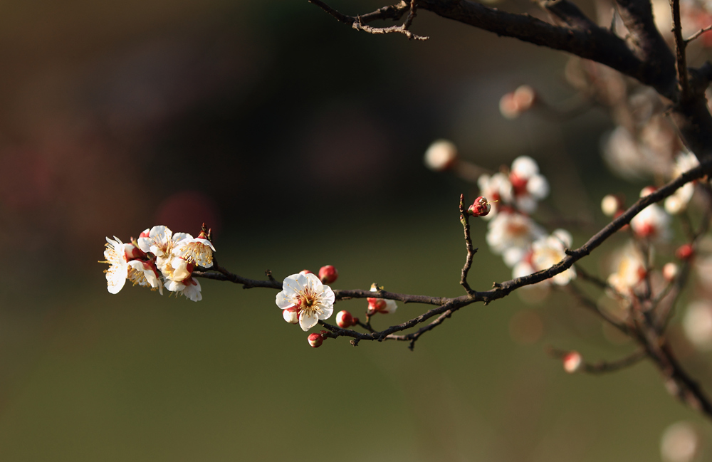 δ���� (22 - 80)_����.jpg