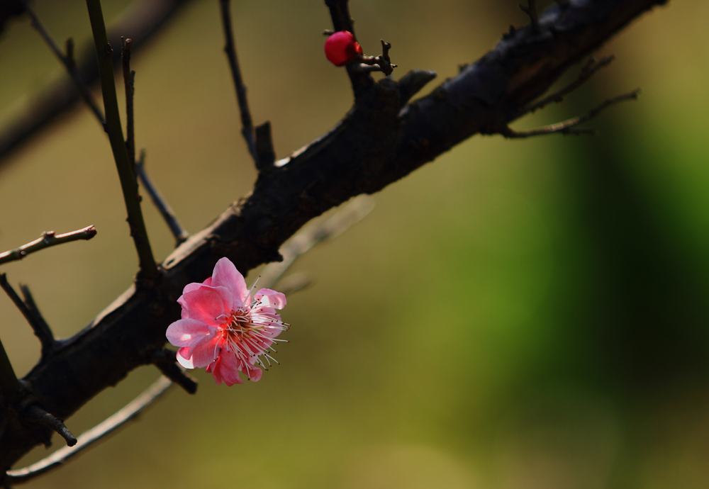 δ���� (23 - 80)_����.jpg