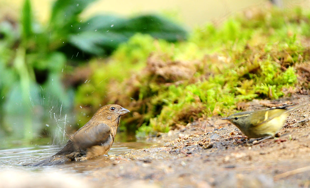 DSC_0395  4.jpg
