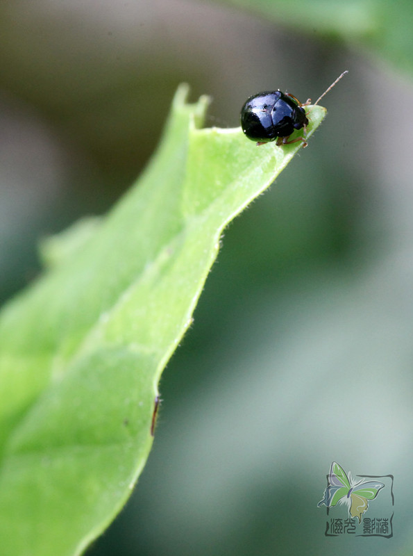 Recovered_JPEG Digital Camera_1488_����.jpg