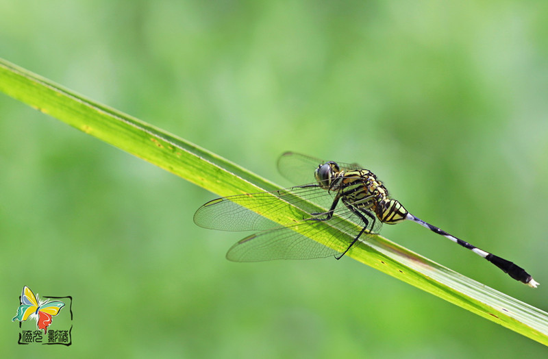 Recovered_JPEG Digital Camera_1491_����.jpg