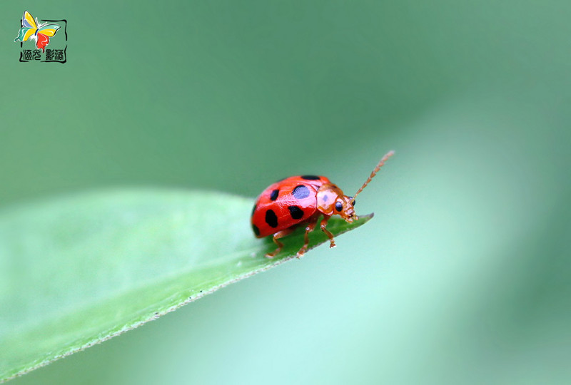 Recovered_JPEG Digital Camera_1495_����.jpg