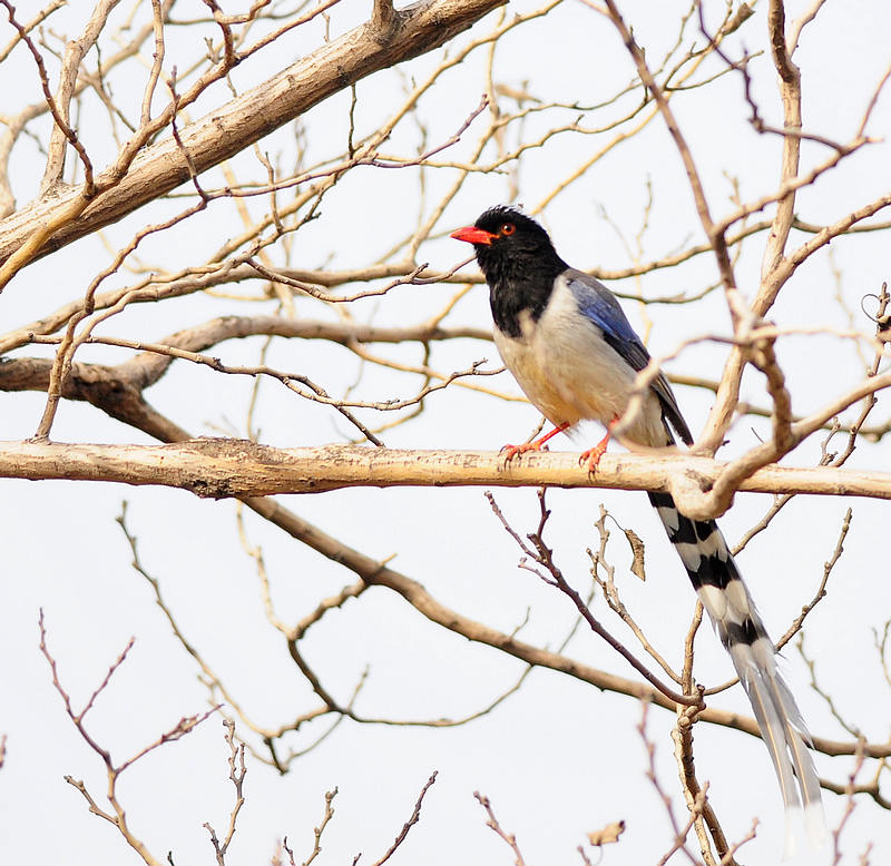 DSC_0071  6.jpg