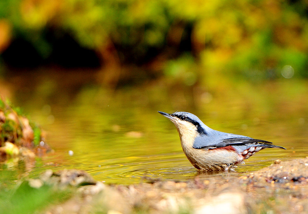 DSC_1259  5.jpg