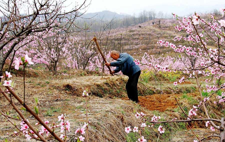 ���ڴ��� (1).jpg