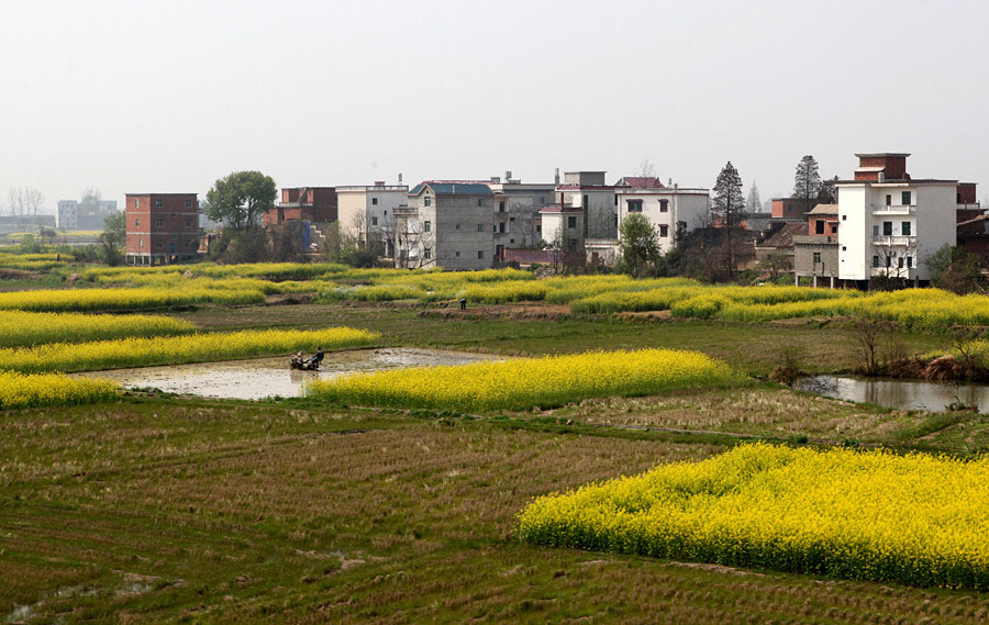 ���ڴ��� (2).jpg