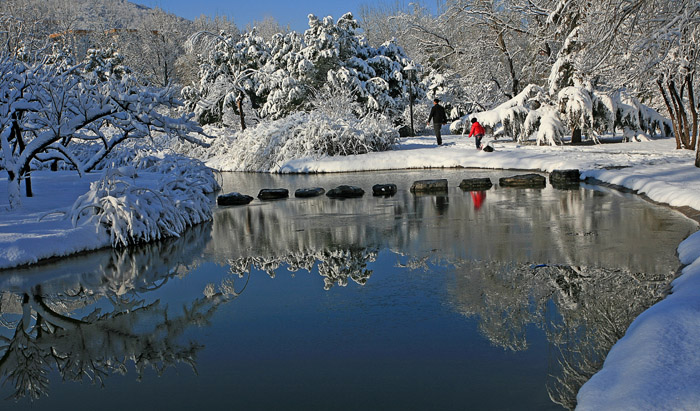 ���־����һ�ѩ(��)   IMG_8312����.jpg