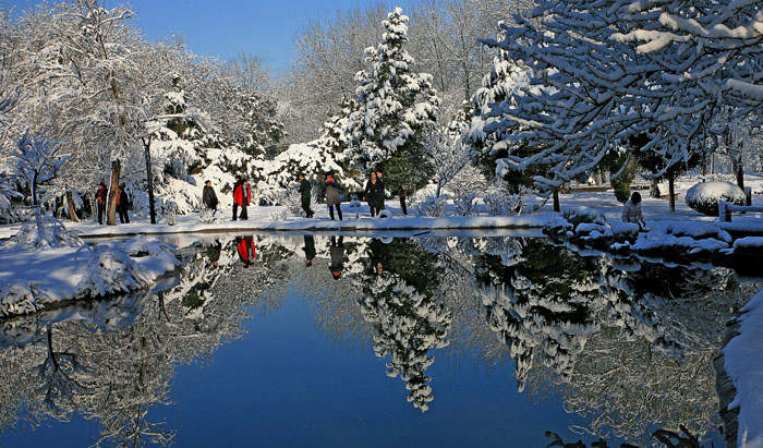 ���־����һ�ѩ(��)   IMG_8326����.jpg