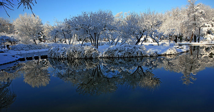 ���־����һ�ѩ(һ)   IMG_8298����.jpg