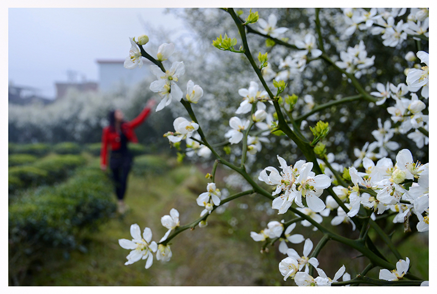 ������Ӱ (1).jpg